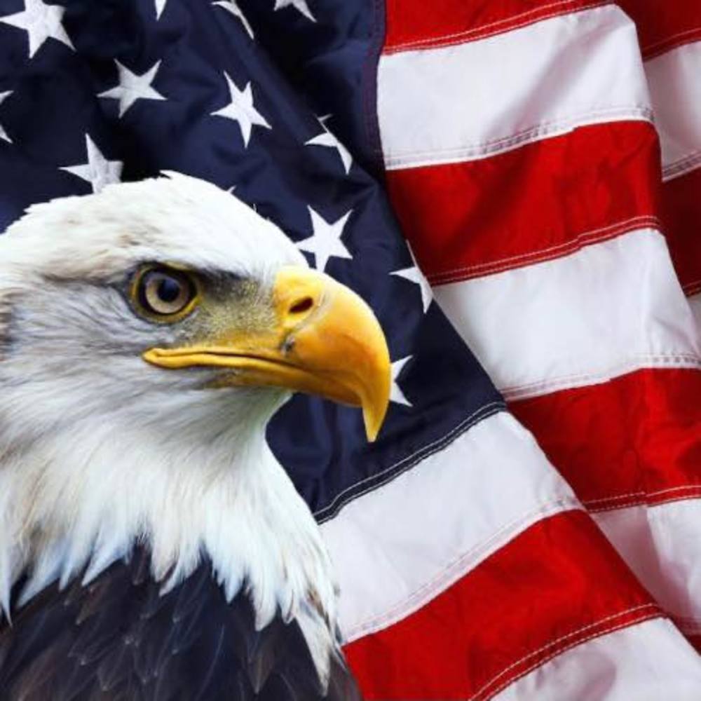 Meet your Posher, Karri